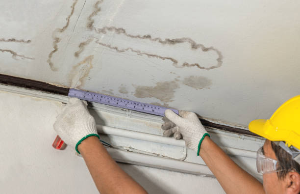 Reliable Mold Remediation contractor in Newport, OR by Water Damage Irwin